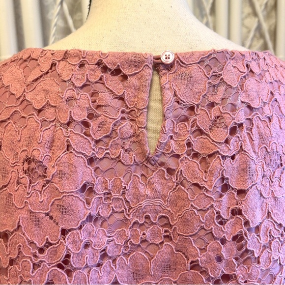 Talbots Top Dusty Rose Lace Blouse Short Sleeve Lined Scallop Hem Plus size 18W - Picture 6 of 15